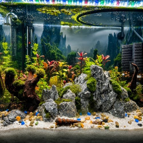 emours Driftwood Branches Reptiles Aquarium Decoration Assorted Size,(6-10 inch in Length),4 Pieces