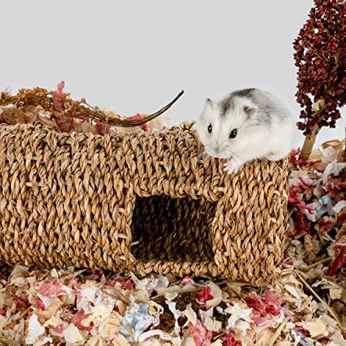 Niteangel Creative & Composable Hamster Tunnel: Edible Seagrass & DIY Tube