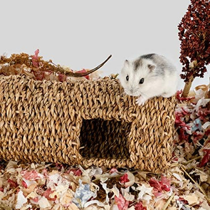 Niteangel Creative & Composable Hamster Tunnel: Edible Seagrass & DIY Tube