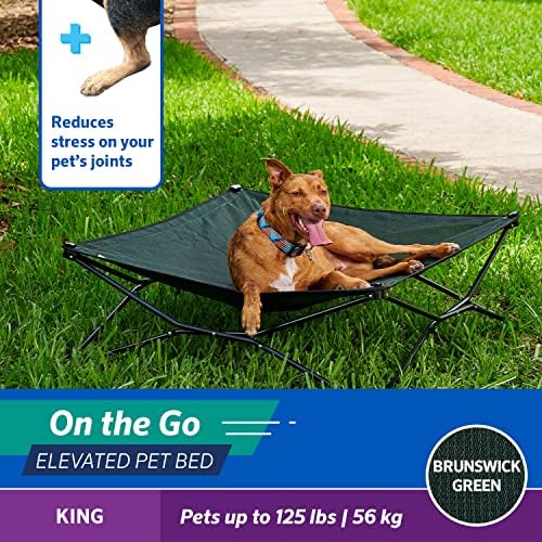 Coolaroo On-The-Go Elevated Dog Bed - Foldable Pop-Up Travel Dog Bed with Breathable, Moisture-Resistant Fabric, Carry Bag Included, Lightweight & Portable, Brunswick Green, Extra Large
