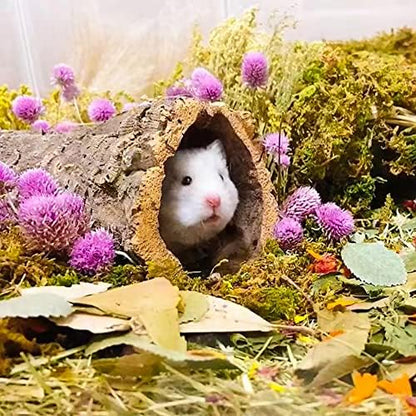 Natural Grain Flower&Herb Hamster Habitat Cage Accessories Bedding Decor