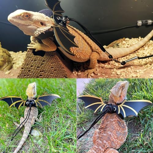 Bearded Dragon Carrier with Harness and Leash Small Pet Carrier