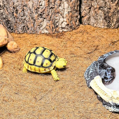 Hamiledyi 78.7x11.8in Reptile Carpet Coconut Fiber Substrate Large Snake Bedding Coco Liner Roll Mat for Bearded Dragon Tortoise Lizard Habitat Pad Garden Decoration
