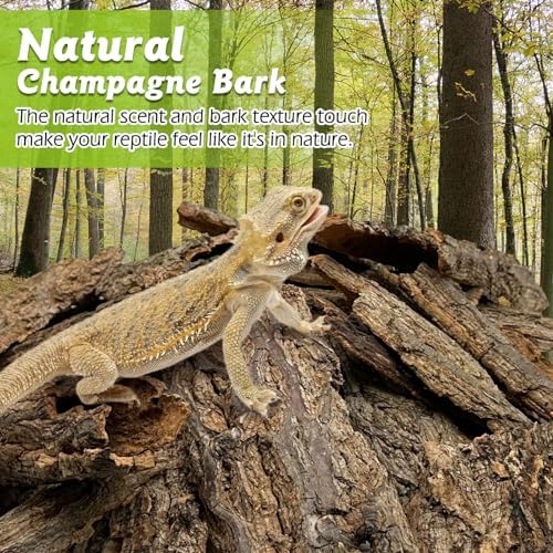 Reptile Cork Bark Bulk 1 Lb Reptile Bark Bedding Natural Flat Cork Wood Pieces Terrarium Substrate Tank Supplies for Bearded Dragon Snake Spiders Hermit Crabs Geckos Tortoise