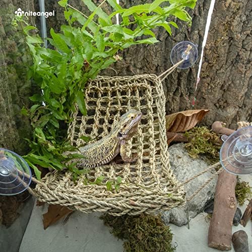 Niteangel Bearded Dragon Seagrass Hammock: Rectangle 16"x 8" & Suction Cups
