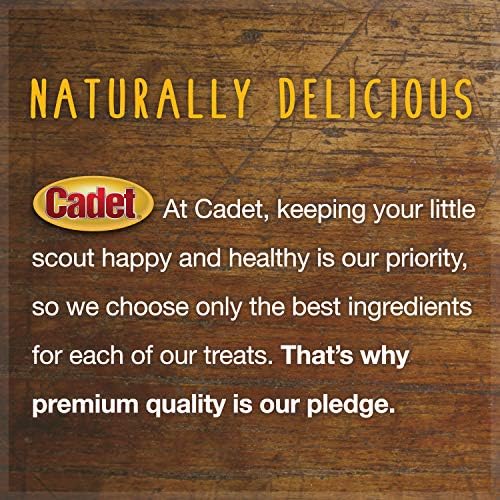 Cadet Stuffed Shin Bone for Dogs - Long-Lasting Chicken Flavored Dog Chew Bone for Aggressive Chewers - Supports Dog Dental Health, Large (1 Count) (Pack of 2)