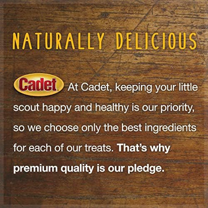 Cadet Stuffed Shin Bone for Dogs - Long-Lasting Chicken Flavored Dog Chew Bone for Aggressive Chewers - Supports Dog Dental Health, Large (1 Count) (Pack of 2)