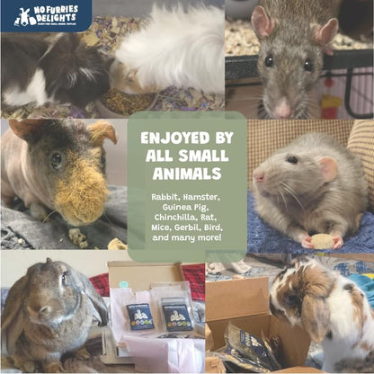 Treats, 100% All Natural Forage Pops for Rabbit Hamster Guinea Pig Chinchilla Pet Rat Mice Gerbil Bird, Healthy Enrichment Bonding Rewarding Training (Forage Pops 5pcs) (Pack of 3)