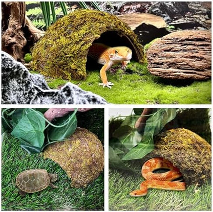 PINVNBY 4 Pack Natural Green Moss Hide Caves Coconut Reptile Hideouts Hamster Climbing Toys Gecko Habitat Decor Lizard Shell Shelter for Snake Tarantulas Turtle Chameleon