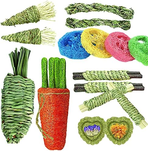 16 PCS Rabbit Toys, Hamster Toy for Molar, Loofah String Carrot Toys for Dental Health, Promote Digestion, for Best Hamster Toy Gifts