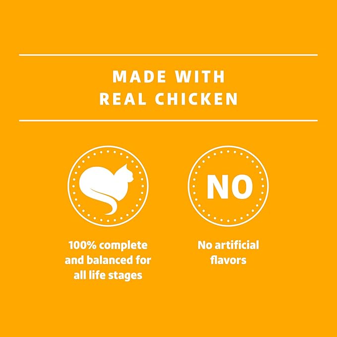Amazon Brand - Wonder Bound Canned Wet Cat Food (Chicken Recipe in Gravy), No Artificial Flavors, Adult Recipe, 3 Ounce (Pack of 24)