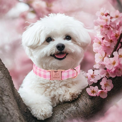 Girl Dog Collar, Classic Pink Gingham Dog Collars - Soft Adjustable Spring Summer Everyday Collars for Small Medium Large Dogs, Sweet Checkered Female Dogs Collar XL