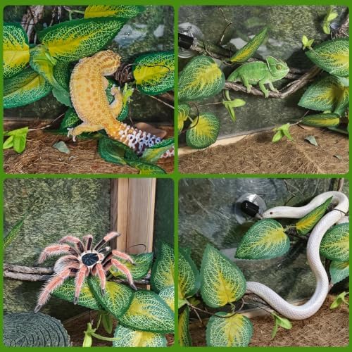 BNOSDM 2PCS Reptile Climbing Branch, Bendable Jungle Vine with Leaves Terrarium Plant Decoration with Suction Cup Chameleon Cage Accessories for Gecko Lizard Bearded Dragons Snake (Vinca Leaf)