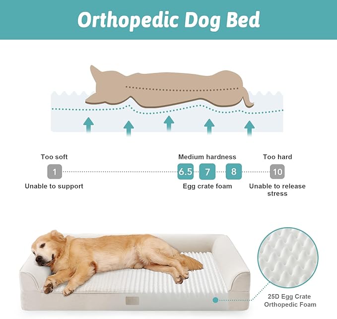 COZY KISS Orthopedic Dog Bed for Small Medium Size Dogs, Bolster Pet Couch with Waterproof Lining, Egg Crate Foam Sofa for Pets Up to 30 lbs, U-Shaped, 30x20x6.5 inch, Beige