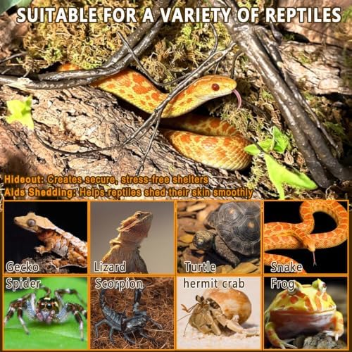 BNOSDM Reptiles Cork Bark Substrate,1.4lb Bearded Dragon Champagne Cork Bark Flats Hide Climbing,Reptiles Wood Bedding Terrarium Decor Tank Accessories for Lizards Snake Gecko Tarantula Isopods（L）