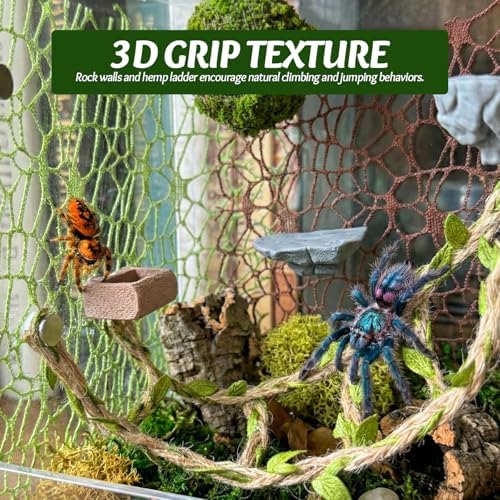 Jumping Spider Enclosure Accessories Kit - Magnetic Moss Ball Hideout, 2 Rock Ledges, Feeding Bowl, Climbing Mesh Nets & Rope Ladder - Natural Forest Habitat Decor for Regal (Moss Cave)