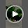 Reptile Plants for Terrarium Decor,Leopard Gecko Tank Plants