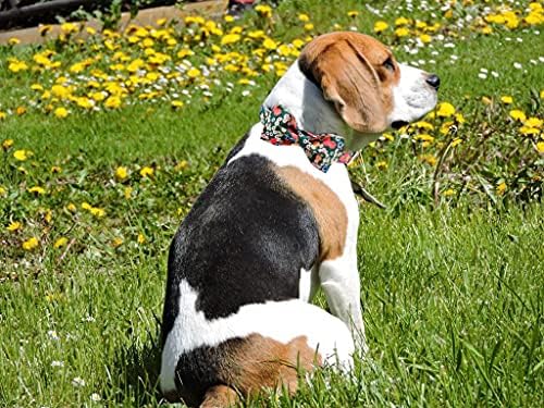 Lionheart glory Floral Print Dog Collar Adjustable Soft Dog Collar with Bowtie, Girl Pet Collars for X-Small Small Medium Large Dogs
