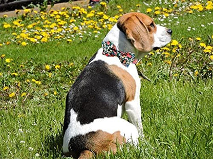 Lionheart glory Floral Print Dog Collar Adjustable Soft Dog Collar with Bowtie, Girl Pet Collars for X-Small Small Medium Large Dogs