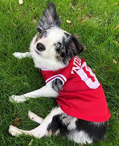 Pets First NCAA Basketball Pet Jersey INDIANA HOOSIERS Dog Jersey, Large (IND-4020-LG)