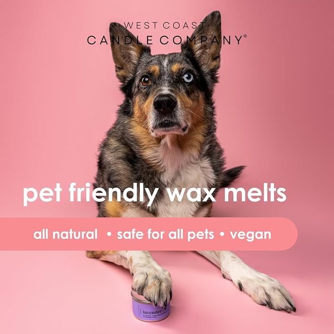 Pet Safe Wax Melts for Dogs | Non Toxic Soy Wax Melts | Natural, Paraffin-Free, Clean Burning | Odor Eliminating Wax Cubes | Lavender