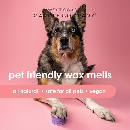 Pet Safe Wax Melts for Dogs | Non Toxic Soy Wax Melts | Natural, Paraffin-Free, Clean Burning | Odor Eliminating Wax Cubes | Lavender