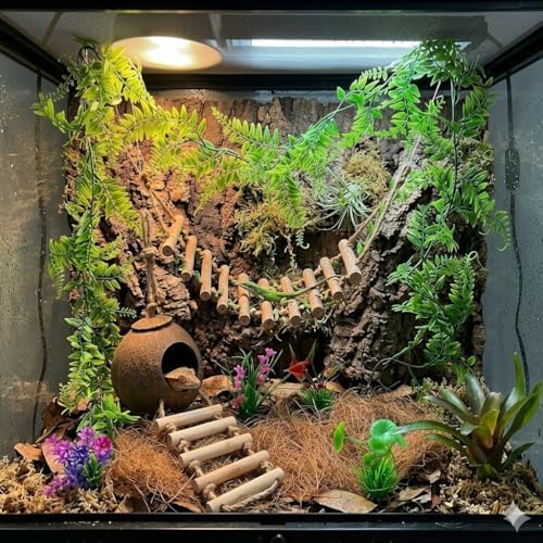 Crested Gecko Tank Accessories, Reptile Bridge and Plants with Coconut Shell Ladder Hideout, Natural Terrarium Decor for Lizard, Chameleon, Leopard Gecko, Snake, Hermit Crab and Tortoise (8PCS)