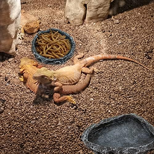 2 Pack Reptile Feeding Dish Corner Bowl, Reptile Water Dish Food Bowl Feeding Terrarium Bowls for Bearded Dragon Lizard Frog Gecko Tortoise Hermit Crab