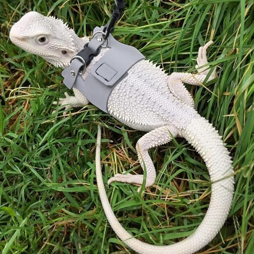 3PCS Bearded Dragon Harness and Leash Set | 3 Size Adjustable Reptile Leash