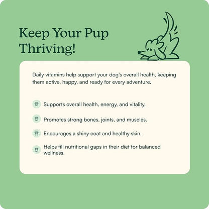 Reggie Morning Multivitamins for Dogs | Daily Dog Vitamin Chews with Vitamins & Minerals for Immunity, Heart, Skin, Coat, Joints & Digestion | Vet-Approved, Natural Dog Supplement | 60 Soft Chews