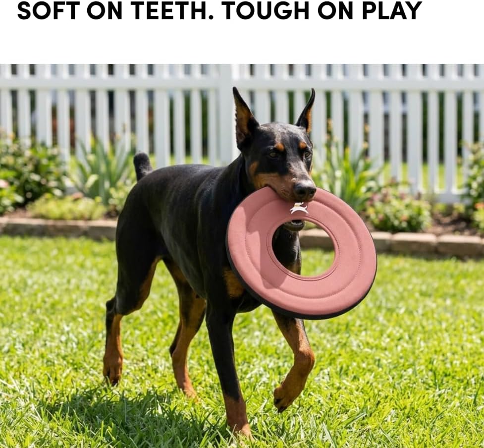 OllyDog Super Flyer Dog Flying Disc – Floating Fetch Toy for Water Play, Soft Eco-Friendly Recycled Fabric, Gentle on Teeth, 11" for Medium & Large Dogs (Desert, 11")