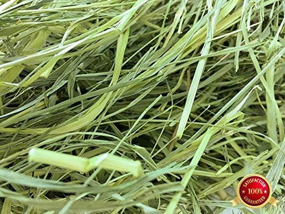 Rabbit Hole Hay - Ultra Premium Medium Timothy Hay for Small Pets - 40 lb Box - Hand-Selected & Farm Fresh