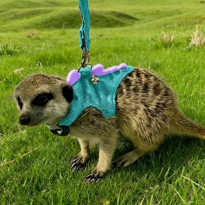 Small Animal Harness and Leash Set, Adjustable Escape Proof Ferret Harness Vest for Adult Ferret, Meerkat, King Squirrel & Fancy Rat, Soft Comfortable Pet Walking Harness with Leash