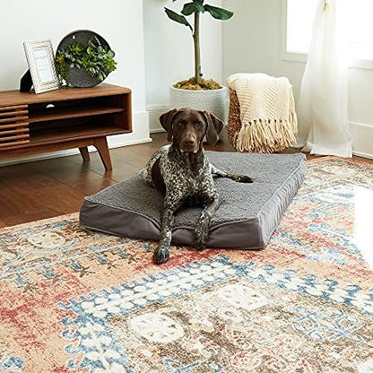 Happy Hounds Oscar Rectangle Orthopedic Foam Sherpa Dog Bed, Medium (42 x 30 in.), Pewter