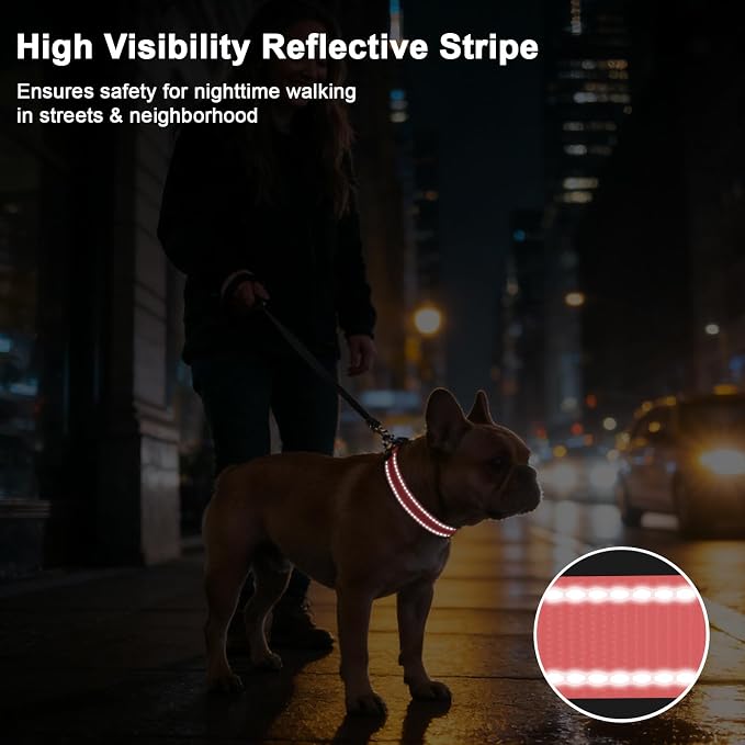 Taglory AirTag Dog Collar with Waterproof Holder for Large Dogs, Baby Pink | Reflective for Night Walks & Low-Light Safety, Track Your Pup Peace of Mind, Adjustable Soft Padded, No More Dangling Tags L