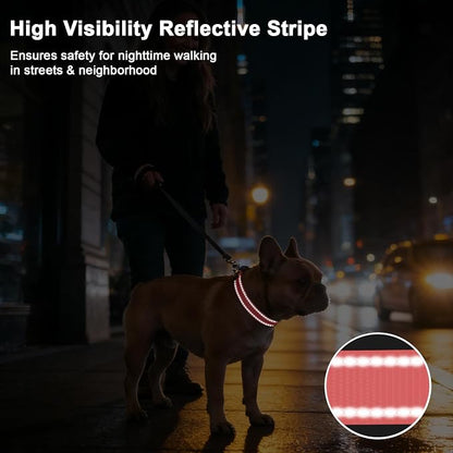 Taglory AirTag Dog Collar with Waterproof Holder for Puppy, Baby Pink, XS | Reflective for Night Walks & Low-Light Safety, Track Your Pup Peace of Mind, Adjustable Soft Padded, No More Dangling Tags