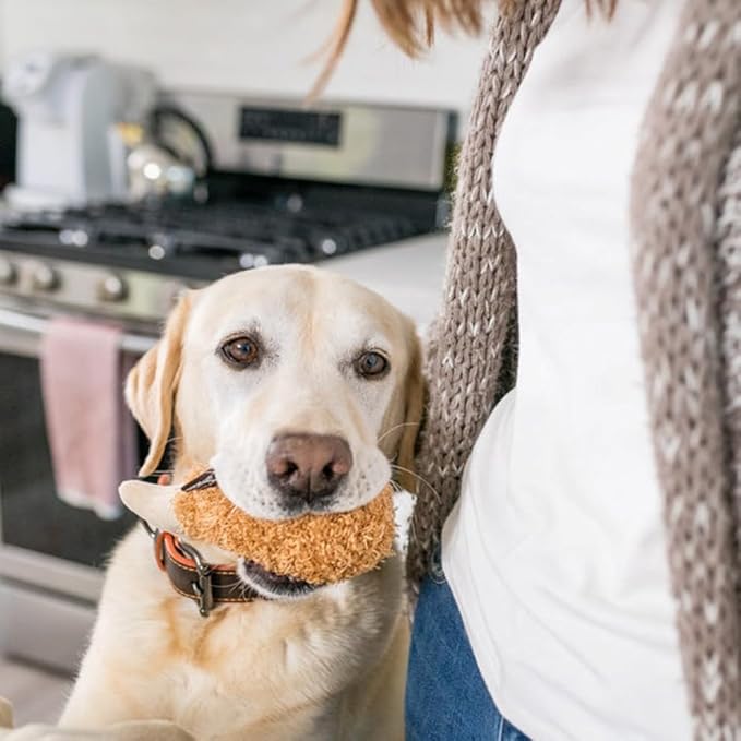 P.L.A.Y. Cute Plush Dog Toys - Fast Food Themed Durable Giggle Chew Toy, Great for Puppies & Small, Medium, Large Dog - Machine Washable, Recycled Materials (American Classic Fried Chicken, X-Small)