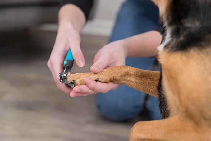 TRIXIE Pet Grooming Nail Clippers, for Small Dogs, Cats, Small Animals and Birds, 4.7" (12cm)