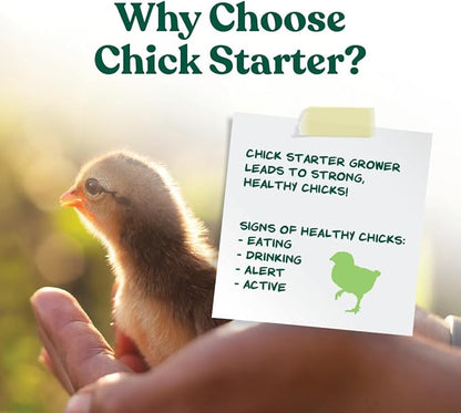 Manna Pro Medicated Chick Starter Grower, Crumbled Chick Feed with Amprolium, Complete Nutrition for Young Chickens, Supports Healthy Growth and Coccidiosis Prevention, 6-Pack of 5 lb Bags