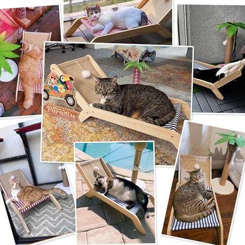 PETKARAY Cat Hammock with Coconut Palm Tree Scratching Post, Cozy Beach Chair Elevated Cat Beds, Original Lounger for Indoor Cats