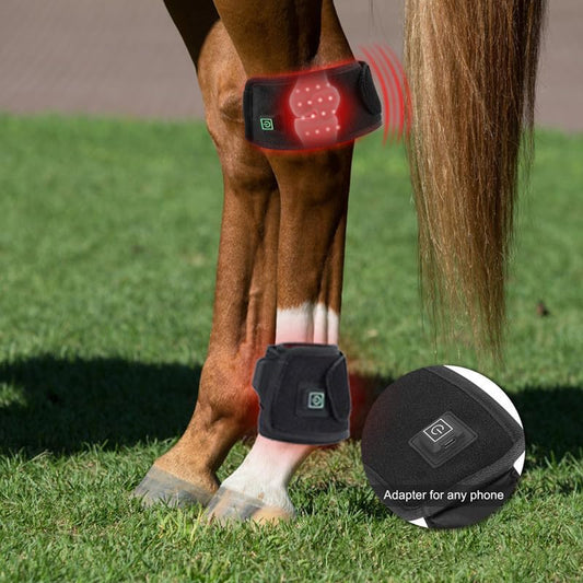 Red Light Therapy for Horses, Portable Wearable Equine Red Light Therapy for Horse Hoof, 660nm/850nm Adjustable LED Red Light Therapy Mat for Equine Hoof and Hock Pain Relief (1PCS)