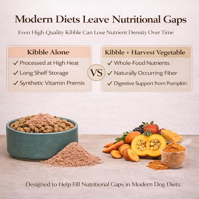 Natural Dog Company Pumpkin Digestive Support Granules Dog Food Topper - Fiber-Rich, Nutrient-Dense Superfood Blend for Gut Health, Holistic Care, Prebiotics