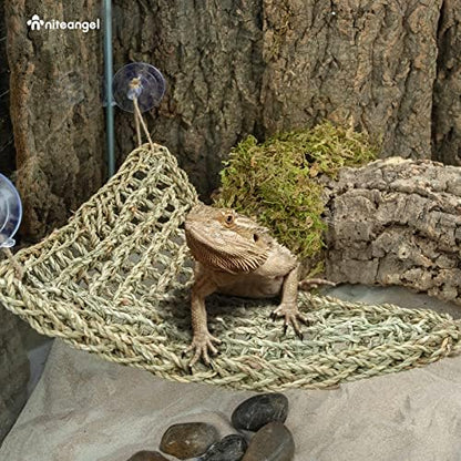 Niteangel Bearded Dragon Seagrass Hammock: Triangle 17'' x 12.5''