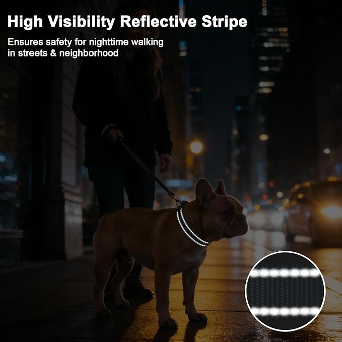 Taglory AirTag Dog Collar with Waterproof Holder for Small Dogs, Gray, S | Reflective for Night Walks & Low-Light Safety, Track Your Pup Peace of Mind, Adjustable Soft Padded, No More Dangling Tags