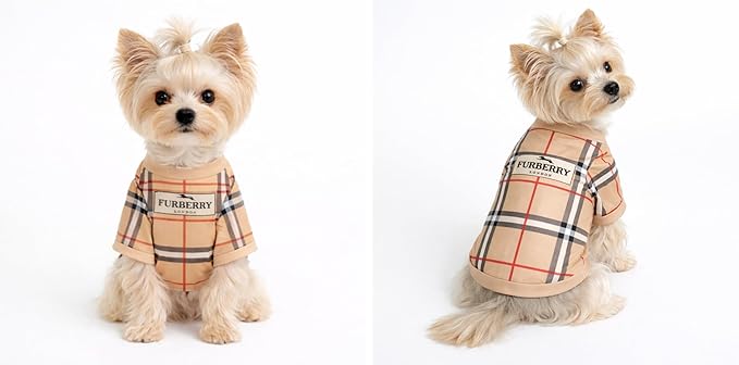 Luxury Designer Dog T Shirt – Trendy Puppy Clothes for Small Dogs, Fashion Pet Tee for French Bulldogs & Chihuahuas, Everything Chic Dog Apparel (FurberryTee, Medium)