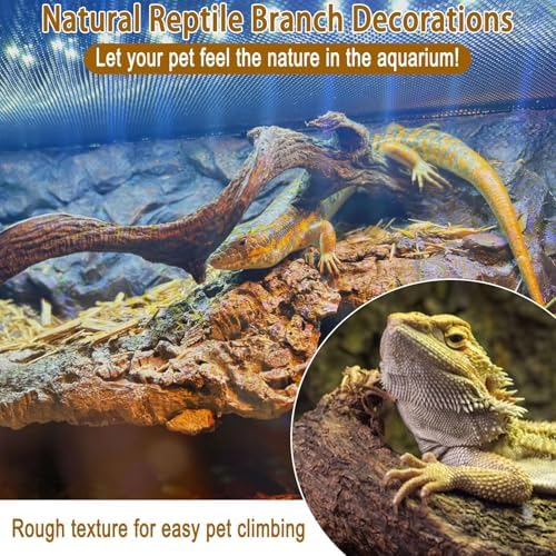 BNOSDM Reptile Forest Climbing Branch Decor 8PCS Crested Gecko Climb Wood Natural Branches Tree for Snake Frog Chameleon Spider Bearded Dragon Terrarium Habitat Tank Accessories
