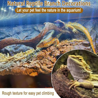 Reptile Decor 3PCS Natural Forest Branch Terrarium Habitat Decoration Lizard Climbing Tree Branch for Bearded Dragon Gecko Snake Frog Chameleon Spider