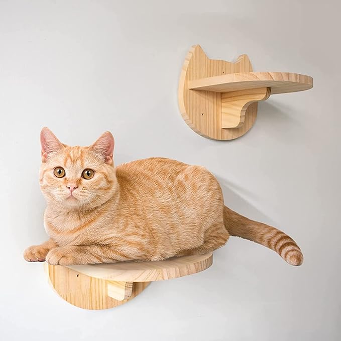 SHENGOCASE Macrame Boho Cat Hammock with 3 Steps and Hook, Wall Mounted Swing Bed, Hanging Cat Bed for Indoor Cats, Wall Furniture (13")