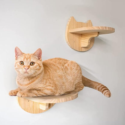 SHENGOCASE Macrame Boho Cat Hammock with 3 Steps and Hook, Wall Mounted Swing Bed, Hanging Cat Bed for Indoor Cats, Wall Furniture (13")