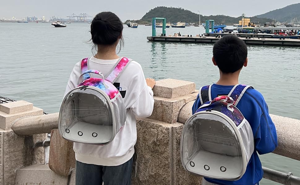 Guinea Pig Carrier Backpack, Bearded Dragon Backpack, Reptile Lizard Clear Space Capsule Bubble Astronaut Window Backpack Carrier for Bunny Hedgehog Rabbit Hamster (Galaxy Blue)